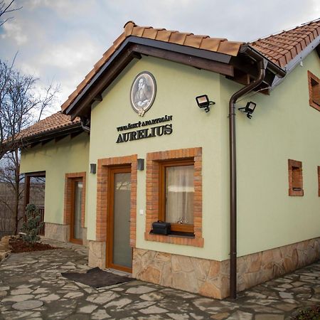 Vinarsky Penzion Andre Velké Pavlovice Exterior foto